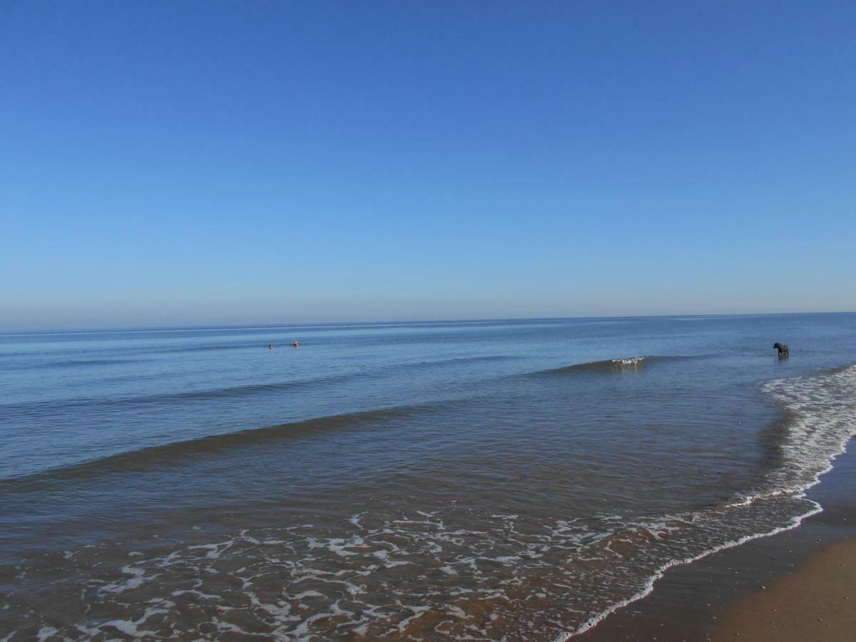 Zomerhuis Wonders Zandvoort Bagian luar foto